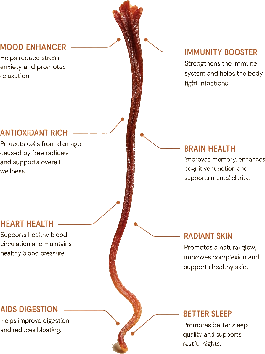 Diagram of a saffron strand with its wellness benefits: mood, immunity, antioxidants, brain health, heart health, radiant skin, digestion and sleep